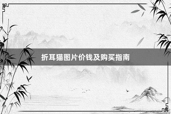 折耳猫图片价钱及购买指南